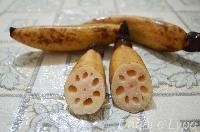 Lotus Root