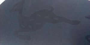 Rexin Laser Marking Services