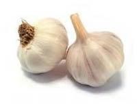 Raw Garlic