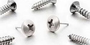 Phillips Head Screws