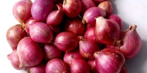 Small Red Onion
