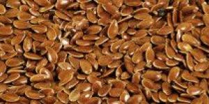 Flax Seed