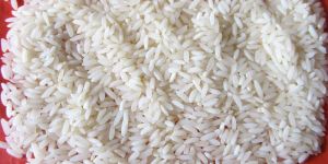 Sona Masuri Rice
