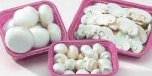 Fresh Button Mushroom