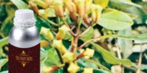 Clove Leaf Oil