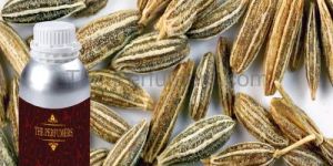 Cumin Seed Oil
