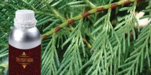 Cypress Oil