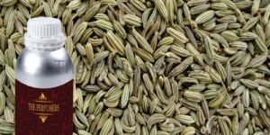 Fennel Oil