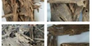 Agarwood Chips