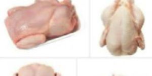 Chicken Meat