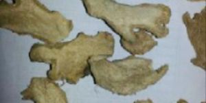 Dried Ginger