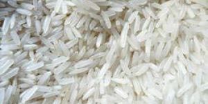 1509 Basmati Rice