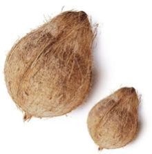 Fresh Coconut