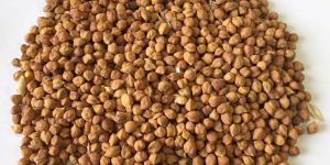Australian Desi Chick Peas