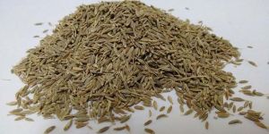 Cumin Seeds