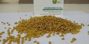 Fenugreek Seed