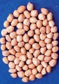 Groundnut Kernels