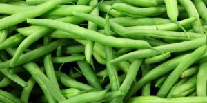Fresh Cluster Beans