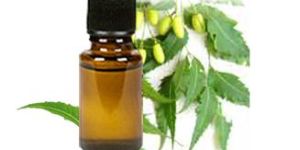 Neem Oil