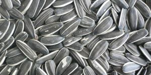 Sunflower Seeds