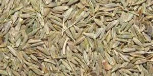 Cumin Seeds