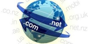 Domain Registration Services