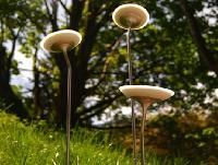 Solar Landscape Lights