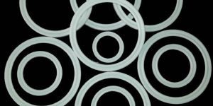 PTFE O Ring