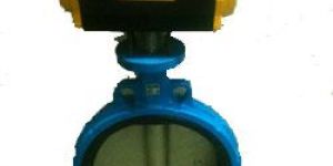 Actuated Control Valve