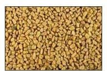 Fenugreek Seeds