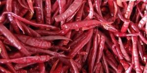 Sanam Dried Red Chilli without Stem