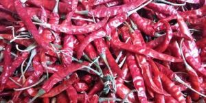 Teja Dried Red Chilli with Stem