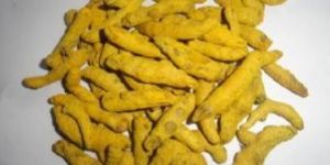 Turmeric Finger
