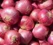 Fresh Red Onion
