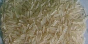 Basmati Rice