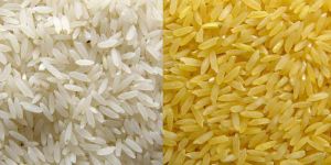 Raw Rice