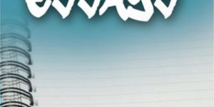 Primary Essay
