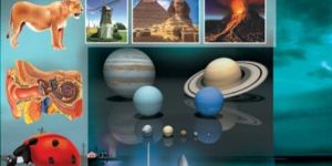 The World of Children's Knowledge H HB Books