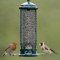 Wild Birds Feeders