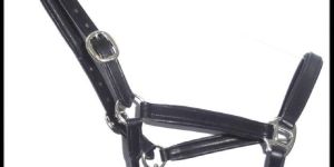 Leather Horse Halters