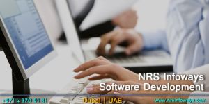 Software Development Service