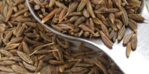 Indian Cumin Seeds