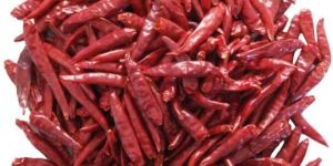 Indian Red Chilli