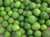 Plant Food