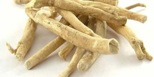 Ashwagandha Roots
