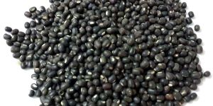 Whole Urad Dal