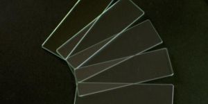Microscope Slides