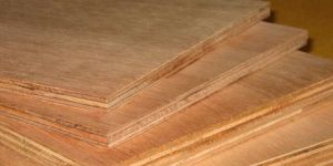 Ply Boards