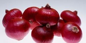 Red Onion
