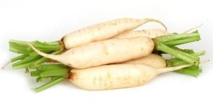 Radish